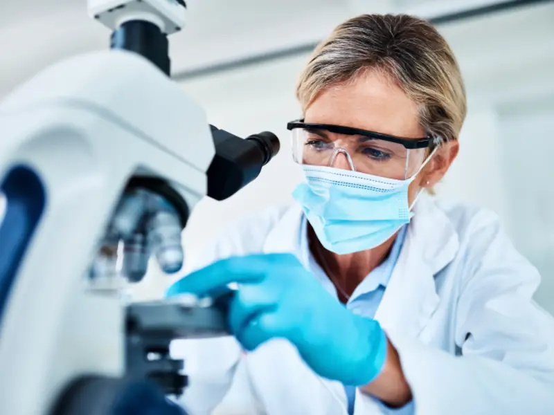 Imagen ilustrativa de investigación científica publicada por GELITA